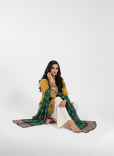 Dhanak 3 Piece Embroidered Dress - 395