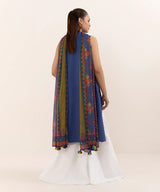 Dhanak 3 Piece Embroidered Dress - 407