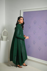 Dhanak 3 Piece Embroidered Dress - 417