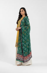 Dhanak 3 Piece Embroidered Dress - 395