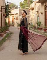 Organza 3 Piece Embroidered Dress - 46