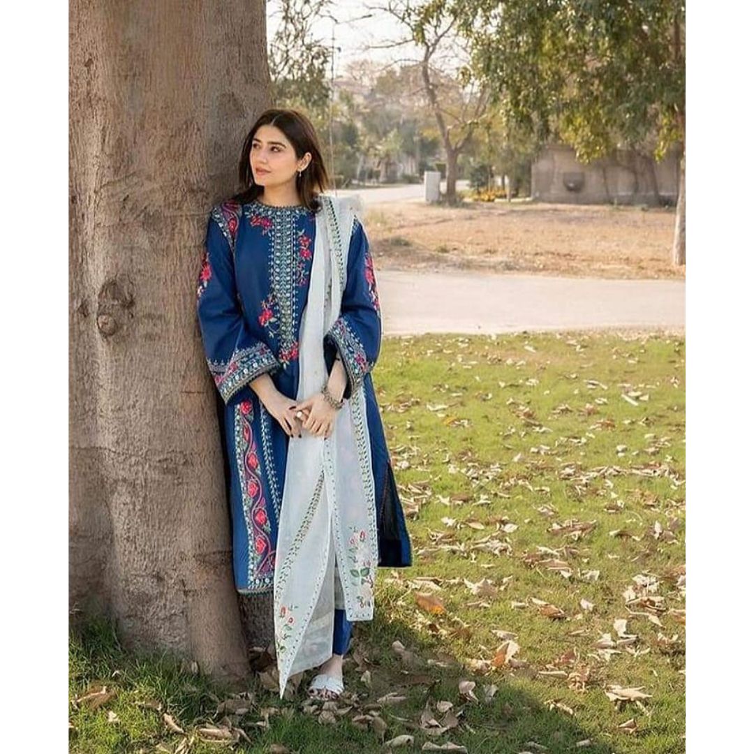 Dhanak 3 Piece Embroidered Dress -399