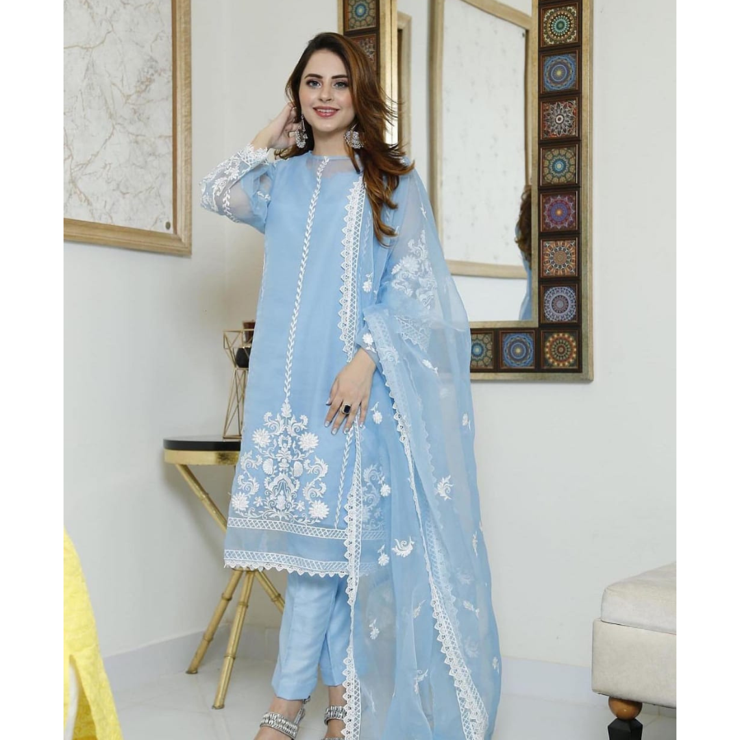 Organza 3 Piece Embroidered Dress - 49