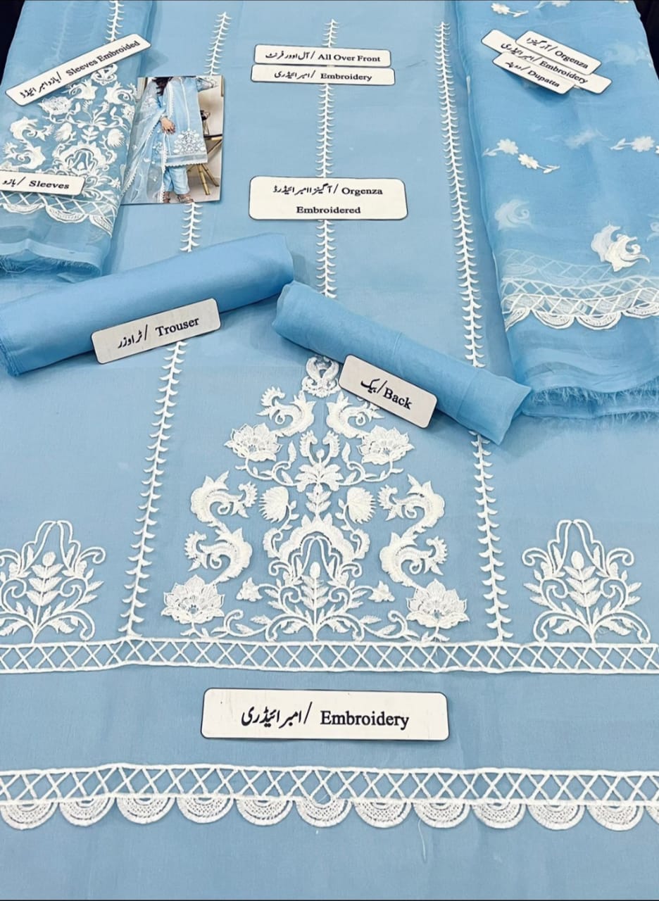 Organza 3 Piece Embroidered Dress - 49