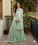 Organza 3 Piece Embroidered Dress - 59