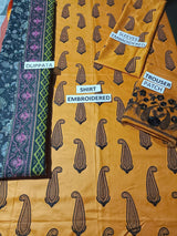 Dhanak 3 Piece Embroidered Dress - 255