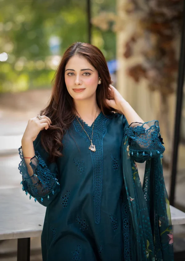 Mushq Luxury Dhanak 3-Piece Suit with Pashmina Shawl – Winter 2025 Exclusive - Image 4