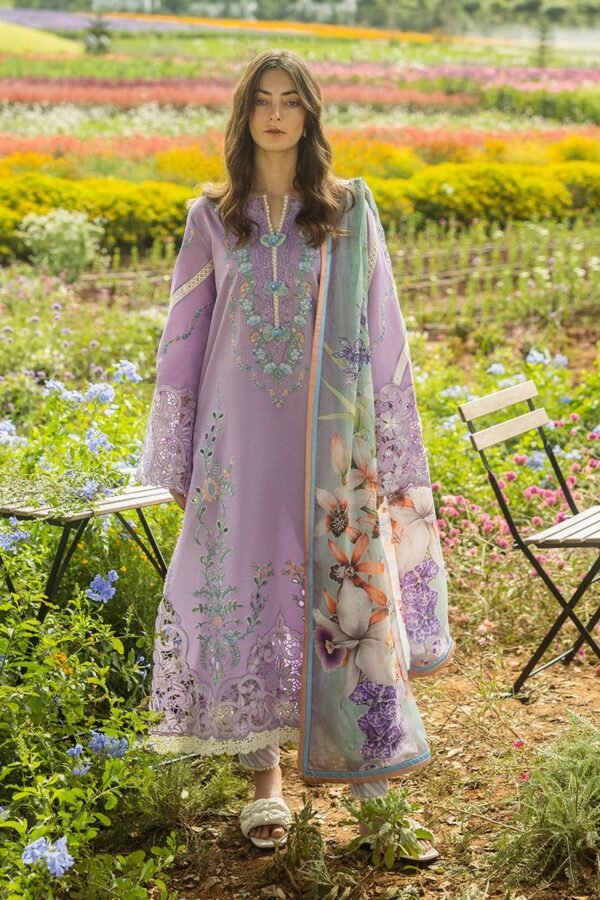 Mushq Luxury Dhanak 3-Piece Suit with Pashmina Shawl – Winter 2025 Collection