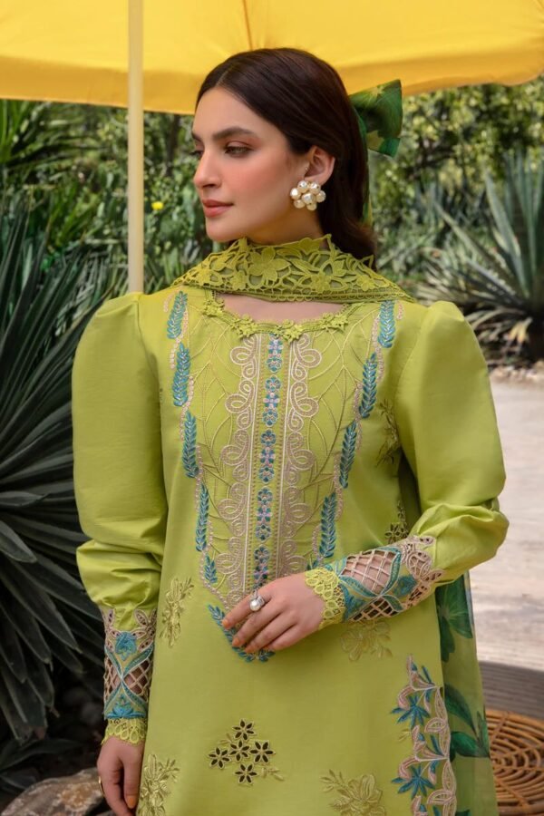 Rang Rasia Luxury Dhanak Suit with Pashmina Shawl – Winter 2025 Hot Collection - Image 2