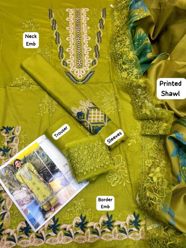 Rang Rasia Luxury Dhanak Suit with Pashmina Shawl – Winter 2025 Hot Collection - Image 4