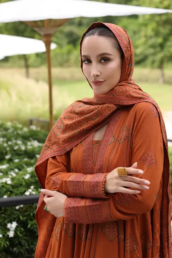 Winter 2025 Hot Collection on Dhanak - Image 5