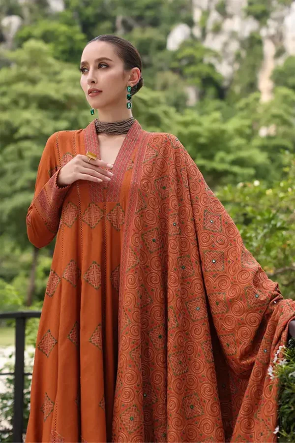 Winter 2025 Hot Collection on Dhanak - Image 3